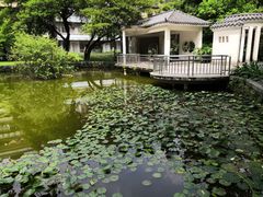 -垂虹公园