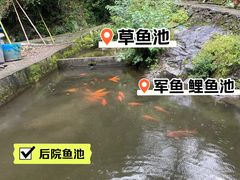 -途中饭店(开化店)