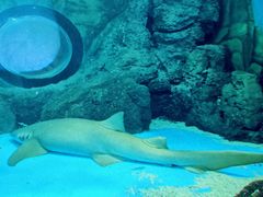 -常州海昌海洋探索馆