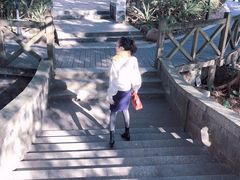 -广州市流溪河国家森林公园