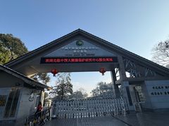 -中国大熊猫保护研究中心雅安碧峰峡基地