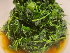 -黛瓦里巷(南京东路店)