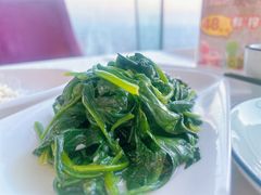 -云中小雅