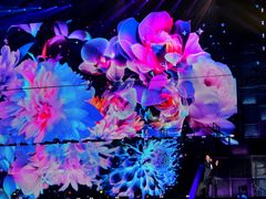 -梦之蓝青奥体育公园体育馆