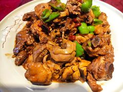 -海岛渔村大酒店(云霄路店)