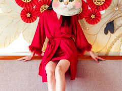 -上海嘉定喜来登酒店