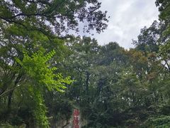-句容茅山景区
