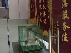 -宝乐康动物医院(北潞园店)