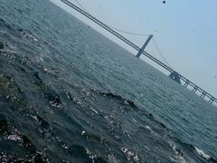 -星海广场