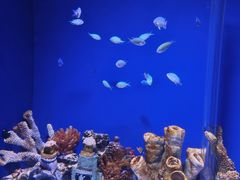 -常州海昌海洋探索馆