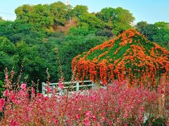 -桃花涧