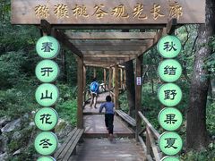 -大岭沟猕猴桃谷风景区
