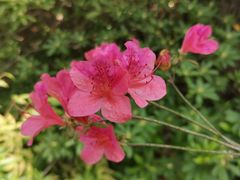 -上海滨江森林公园