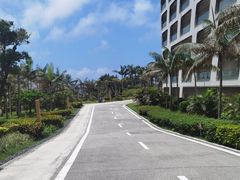 -东澳岛
