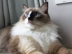 -comecome来吧宠物(奥克斯中心店)