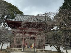 -醍醐寺