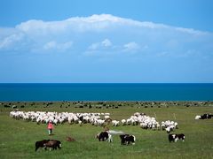-青海湖国家重点风景名胜区