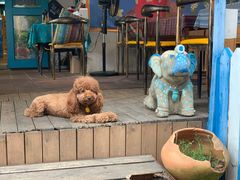 -半坡九号老挝冰咖啡