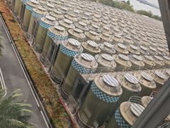 -厨邦酱油文化博览馆