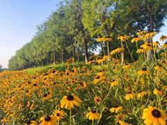 -汉长安城未央宫国家考古遗址公园