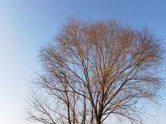 -黄沙古渡原生态旅游区