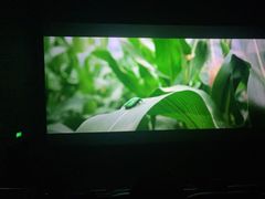-幸福蓝海国际影城(烟台大悦城IMAX店)