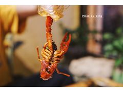-可可大虾武汉土菜大排档(万松园1店)