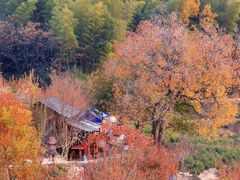 -塔川景区