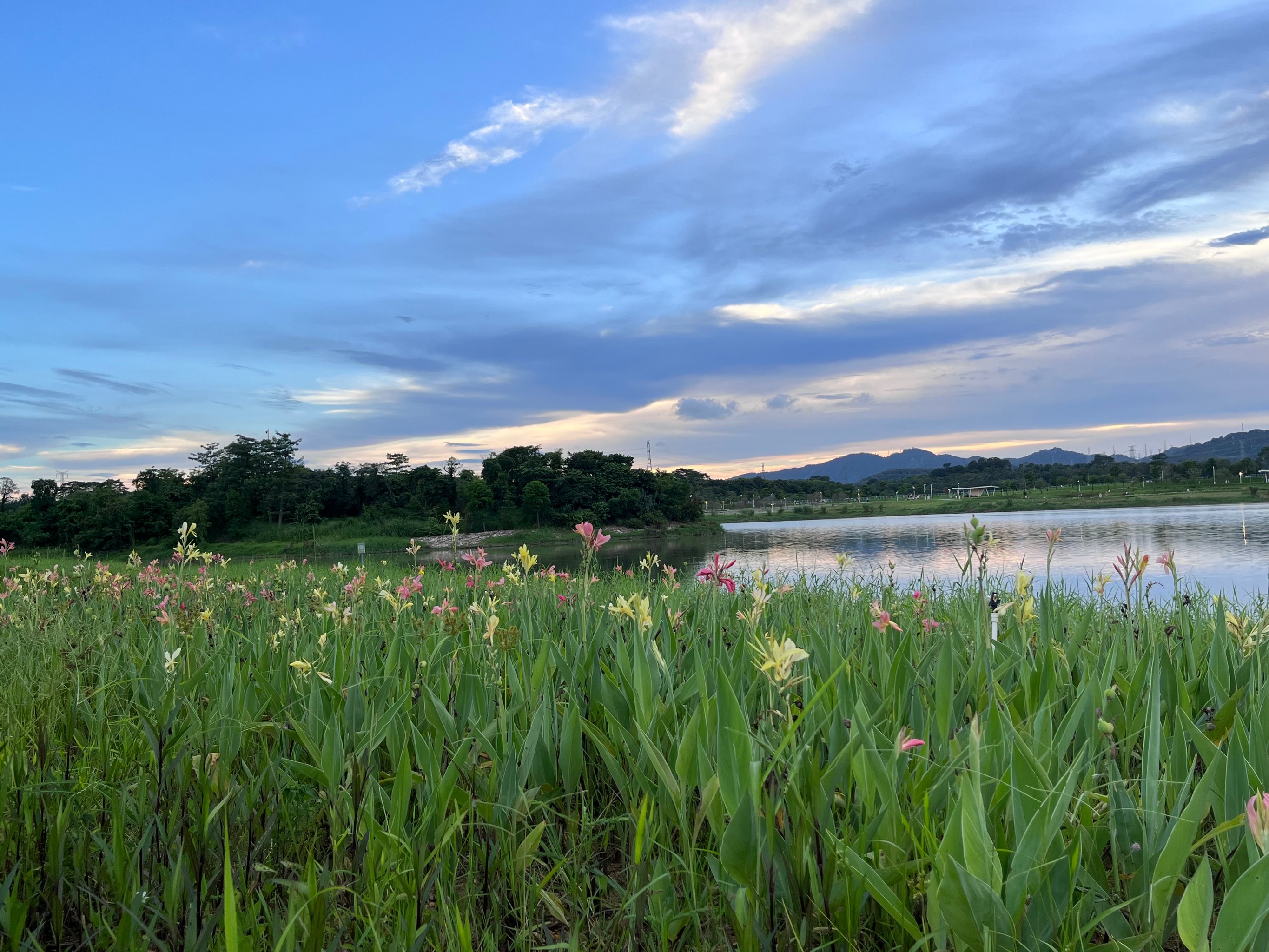 石岩湿地公园地址图片