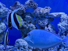 -太平洋海底世界