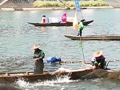 -新安江山水画廊风景区