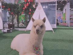 -武汉5D星空错觉艺术馆(中心百货店)