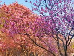 -白塘生态植物园