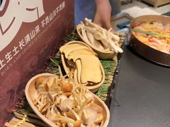 -季季山·云南野生菌火锅(上海首店)