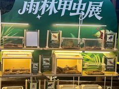 -正佳雨林生态植物园