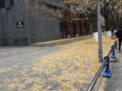 -四川大学(华西校区)