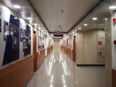 -上海市东方医院(总院)