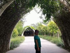 -天津东丽湖风景区