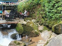 -龙翔山庄雷鸡肉(青城后山泰安古镇店)