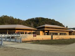 -千年银杏谷文化旅游区
