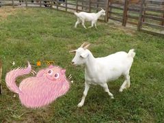 -前小桔亲子创意农场·草莓采摘·露营烧烤