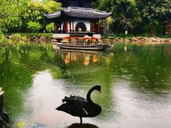 -水绘园