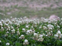 -丁香湖丁香小镇Citypark滑雪公园戏雪嘉年华