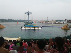 -秦皇岛乐岛海洋王国