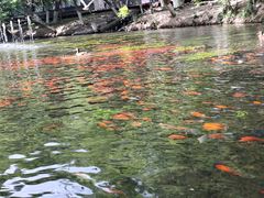 -水磨沟公园