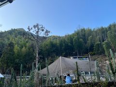 -MOJ coffee(瓯海泽雅水碓坑店)