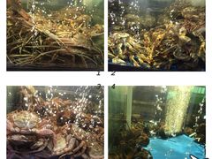 -蟹之国·精品蟹料理(极地店)