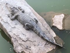 -南昌动物园