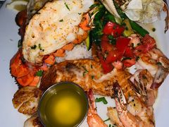 -Fish Hopper