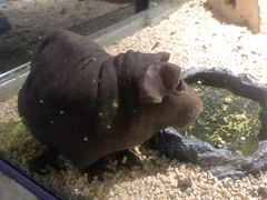 -顺德南宏海立方海洋公园